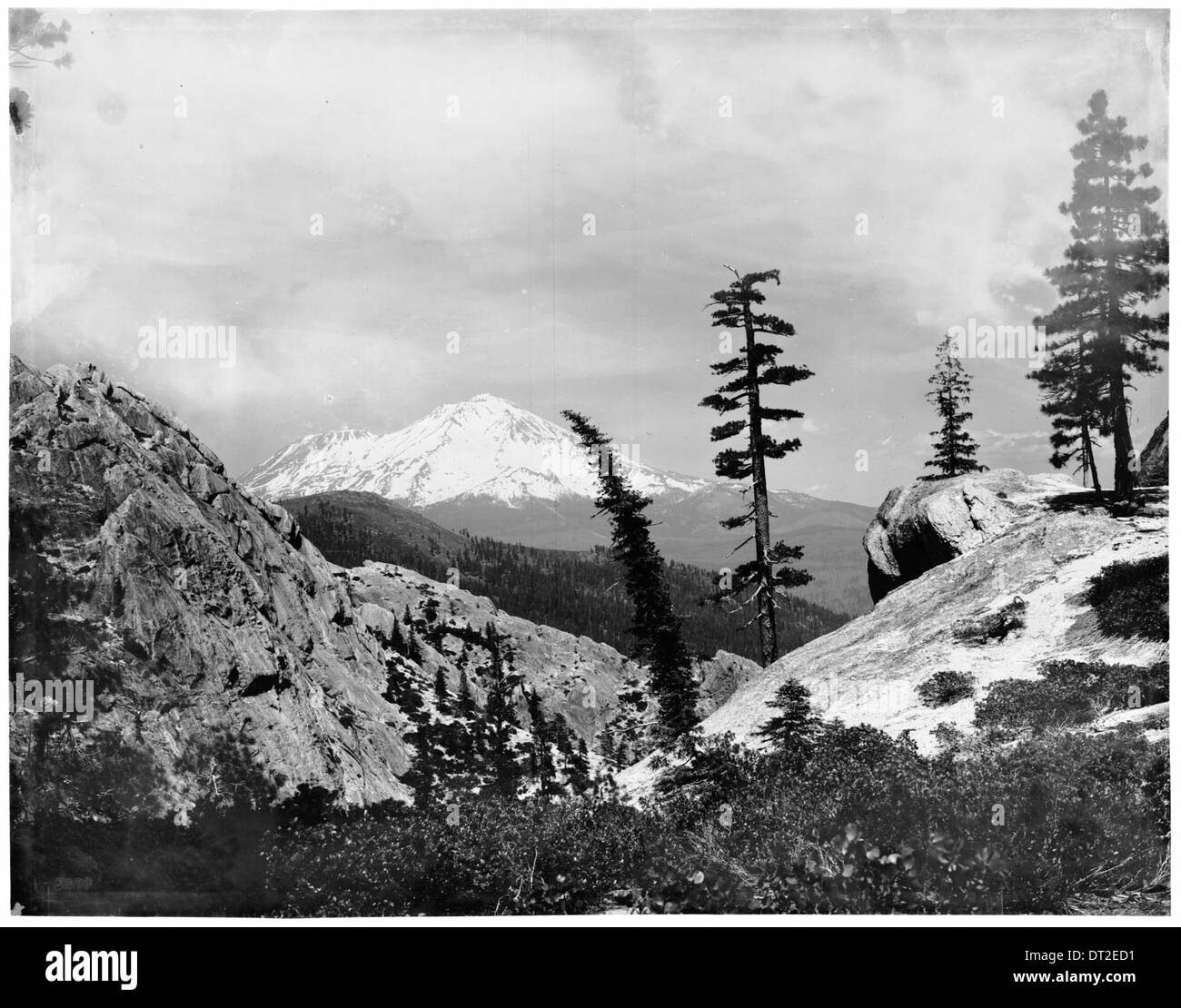 Une vue panoramique du mont Shasta prise depuis le parc d'État Castle Crag entre 1900 et 1930. Banque D'Images
