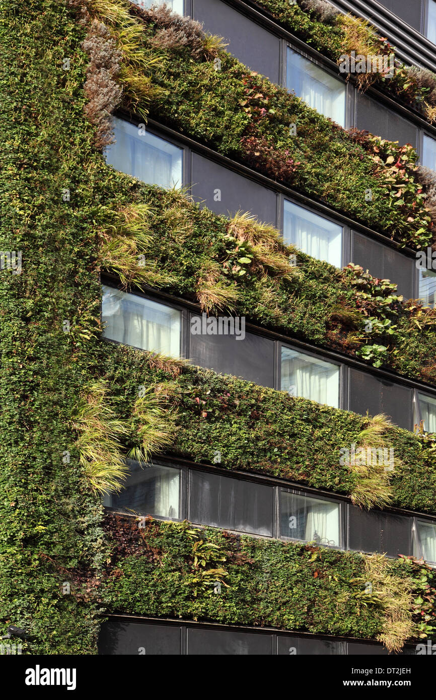 Une plante verte vie couvert mur sur un nouvel immeuble de bureaux dans la ville de London, UK Banque D'Images