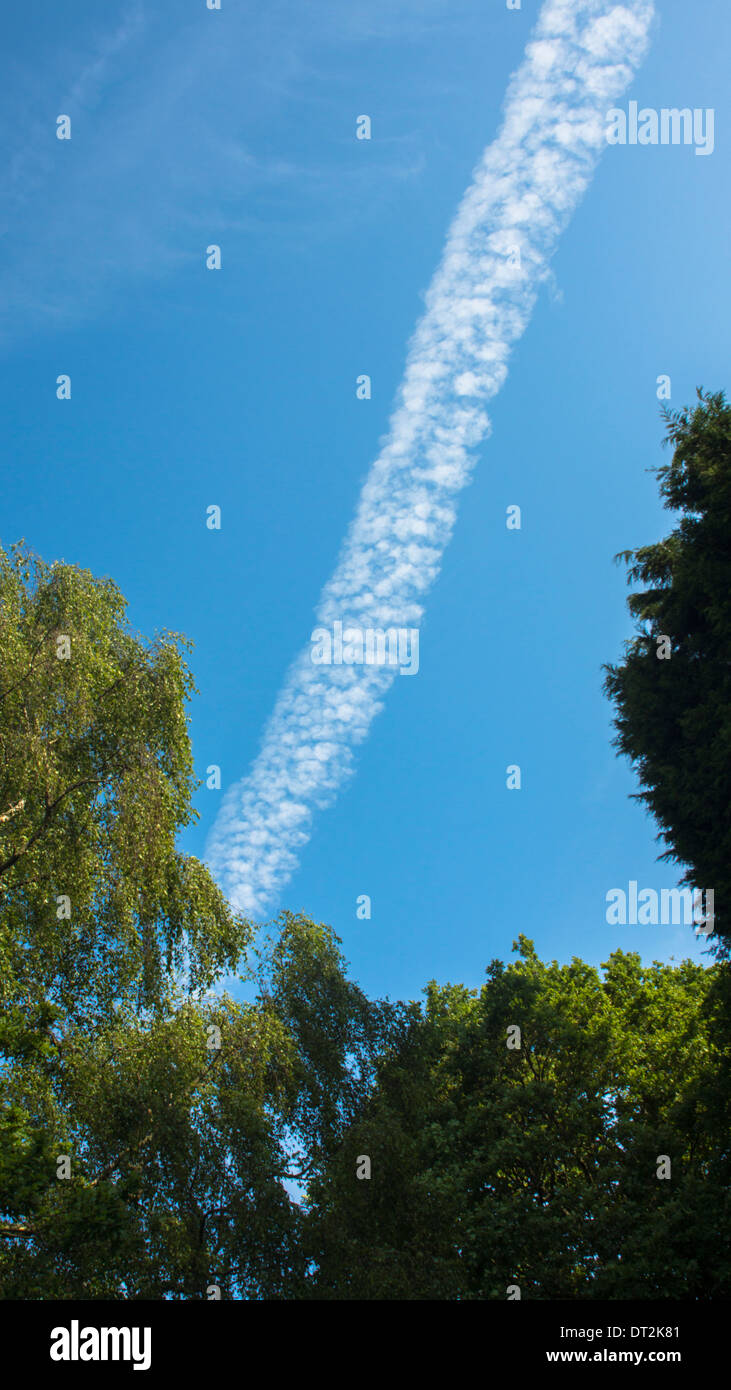 Des jets de vapeur à pression vaper d'été queue vert des arbres ciel bleu Banque D'Images Des jets de vapeur à pression vaper d'été queue vert des arbres ciel bleu Banque D'Images