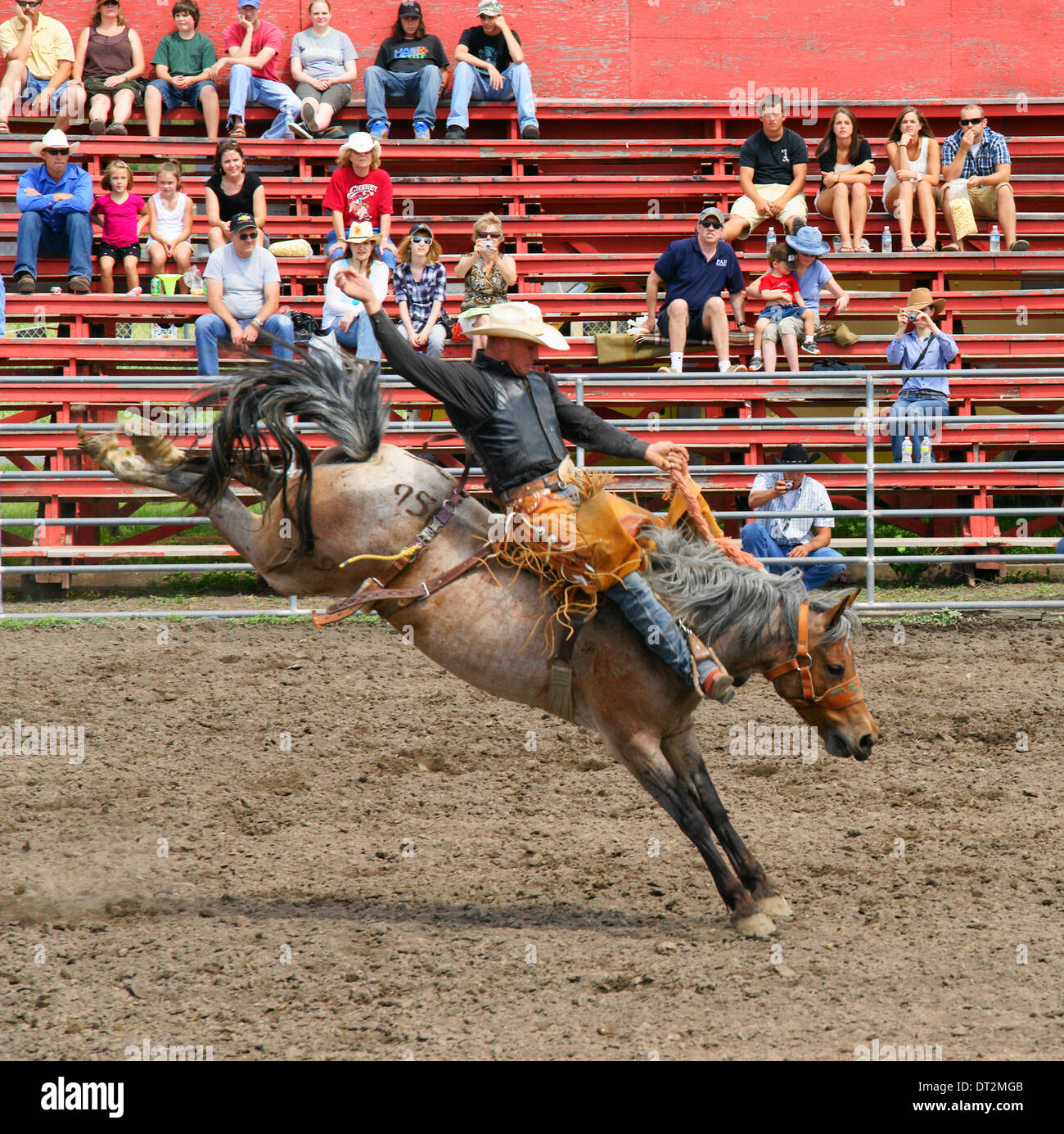 Saddle Bronc riding rodéo event Banque D'Images