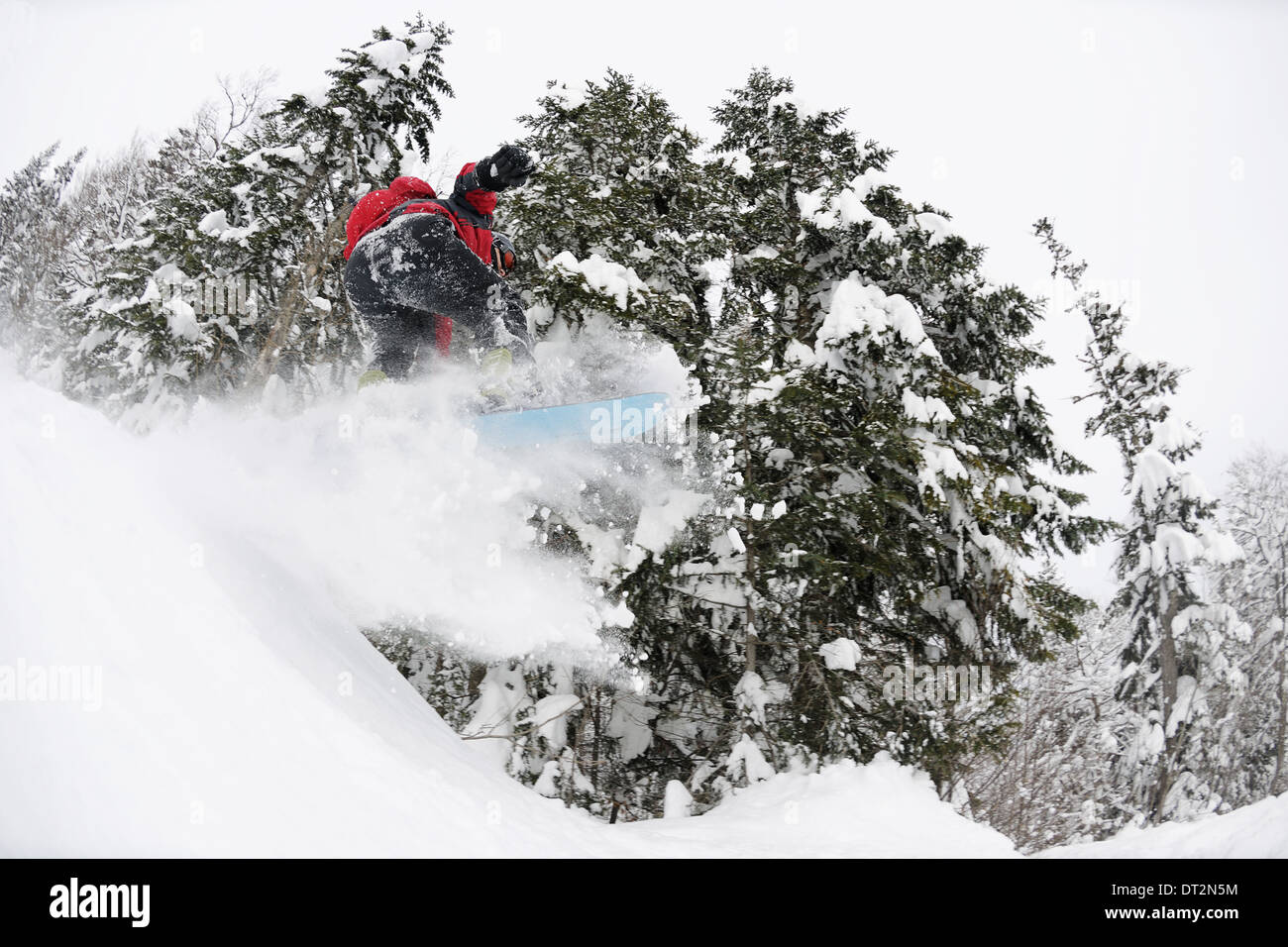 Snowboarder sur la neige profonde fraîche Banque D'Images