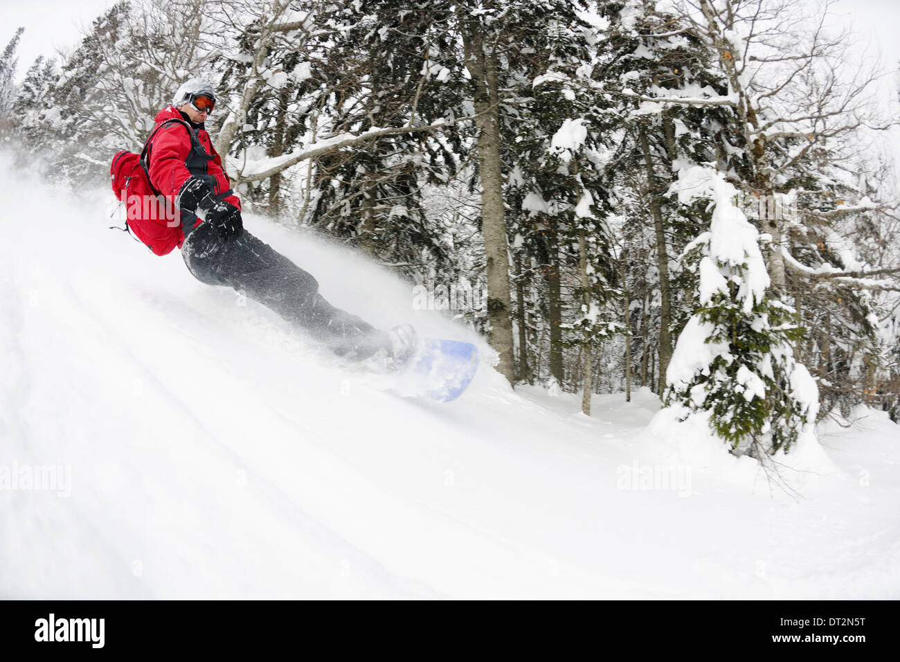 Snowboarder sur la neige profonde fraîche Banque D'Images