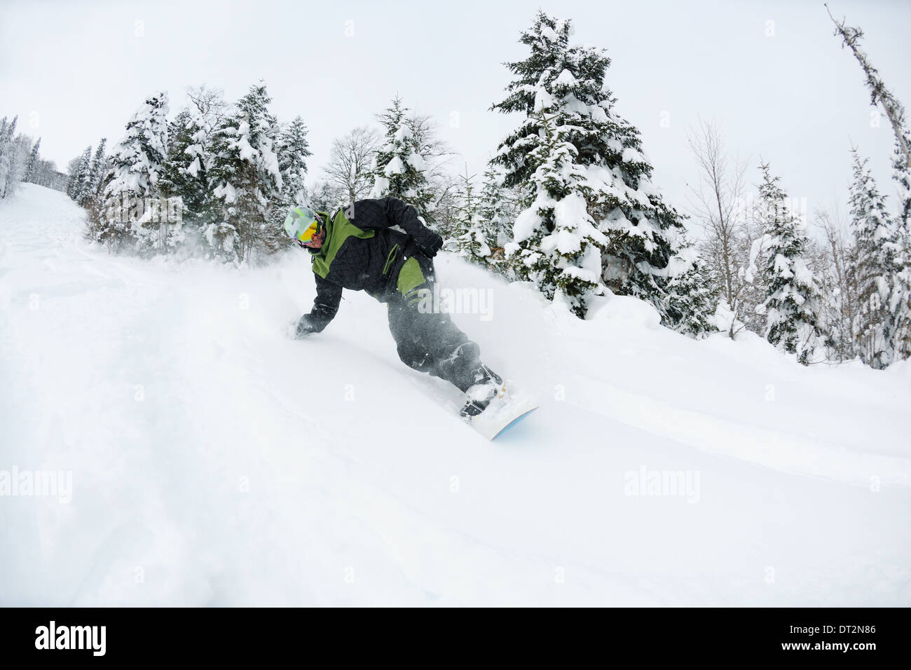 Snowboarder sur la neige profonde fraîche Banque D'Images