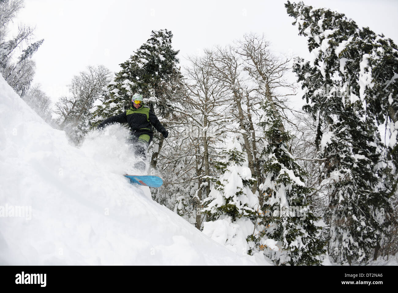 Snowboarder sur la neige profonde fraîche Banque D'Images
