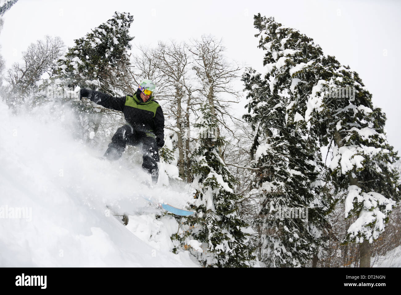 Snowboarder sur la neige profonde fraîche Banque D'Images