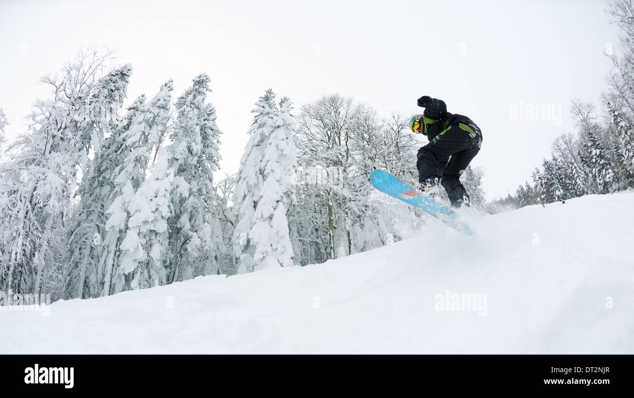 Snowboarder sur la neige profonde fraîche Banque D'Images