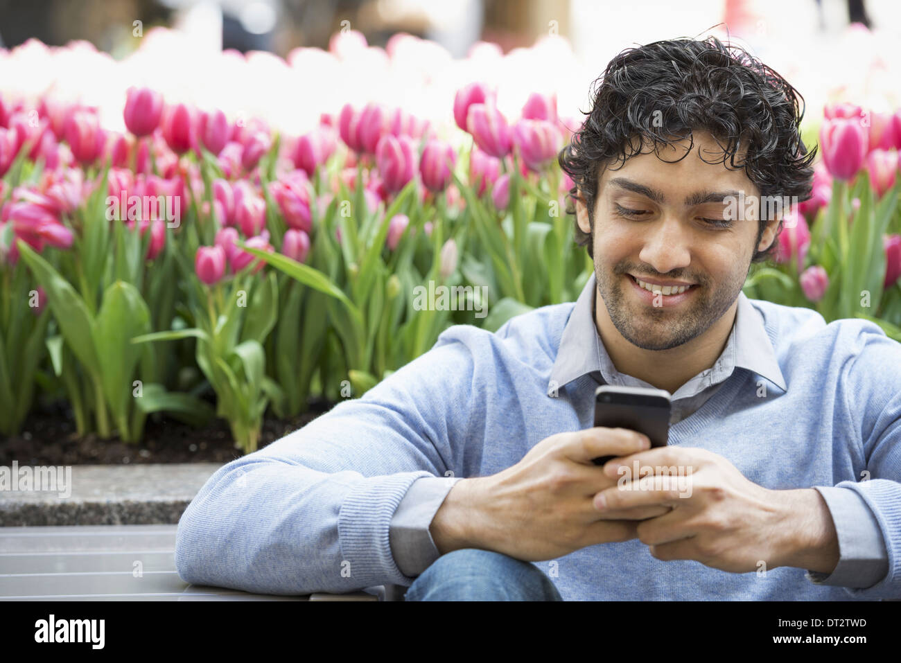 Mode de vie urbain un homme dans le parc en utilisant son téléphone mobile un lit de tulipes à fleurs roses en arrière-plan Banque D'Images