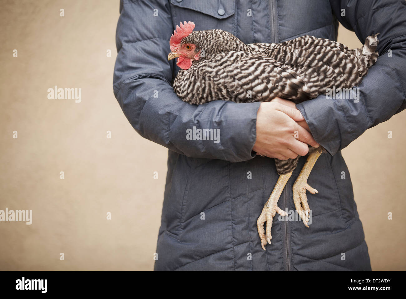Une femme portant un manteau gris et la tenue d'un poulet Banque D'Images