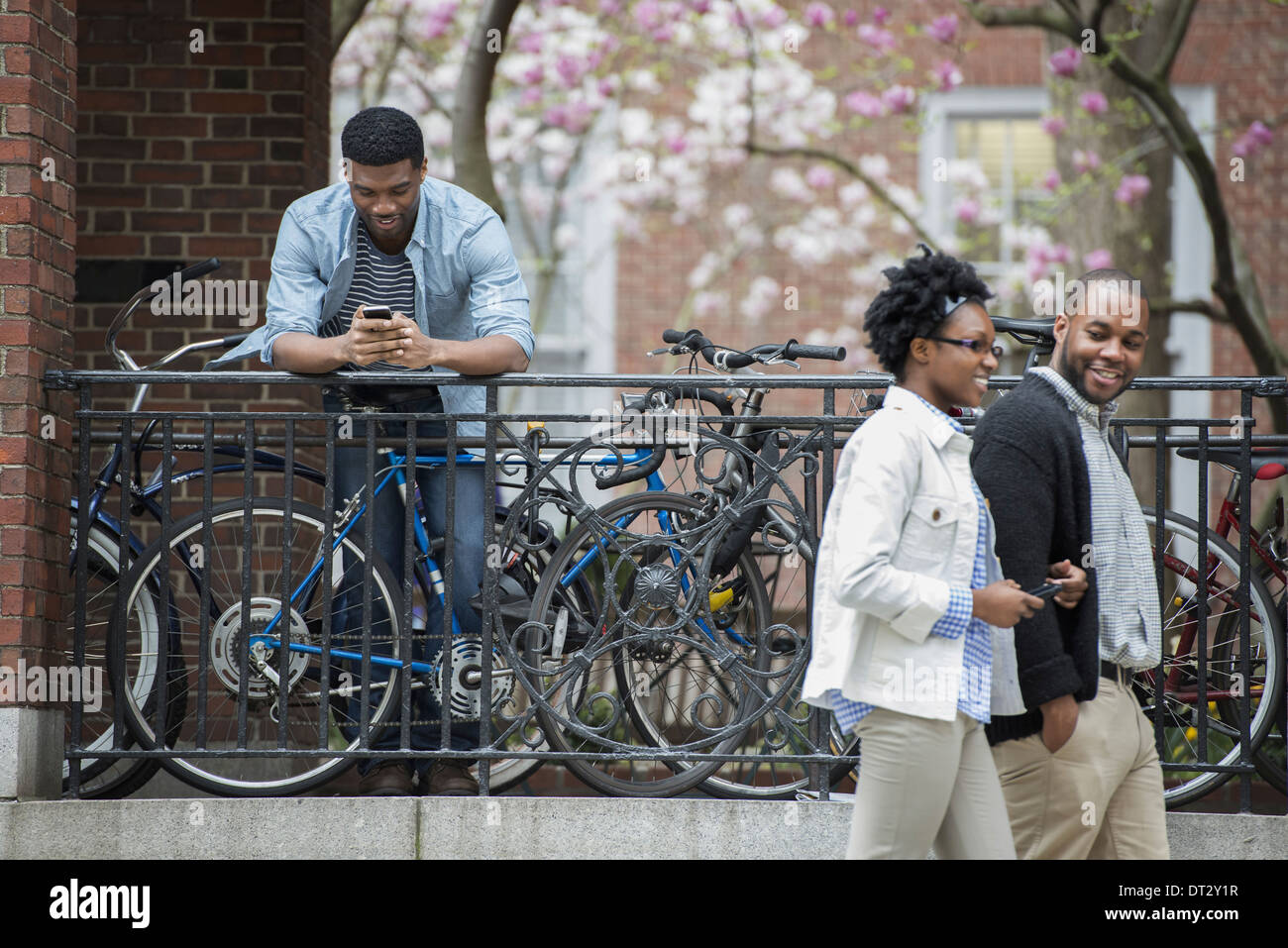 Un support à bicyclettes avec des vélos verrouillé, un man texting et un couple en train de marcher par. Banque D'Images