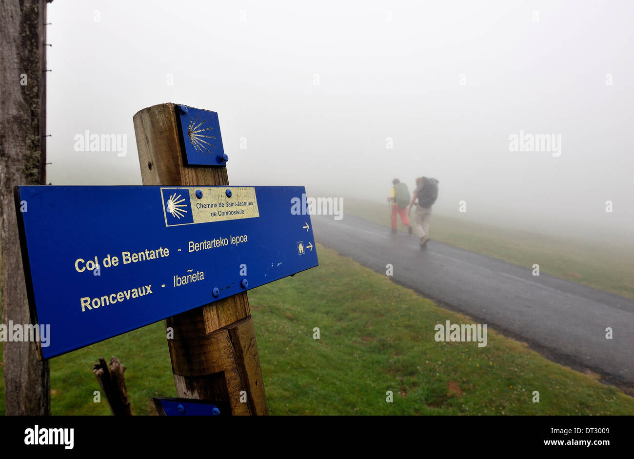 Montée au Col Bentatre Roncevall RONCEVAUX CHEMIN St James (aussi connu comme la route Saint Jacques de Compostelle) Pyrénées France Banque D'Images