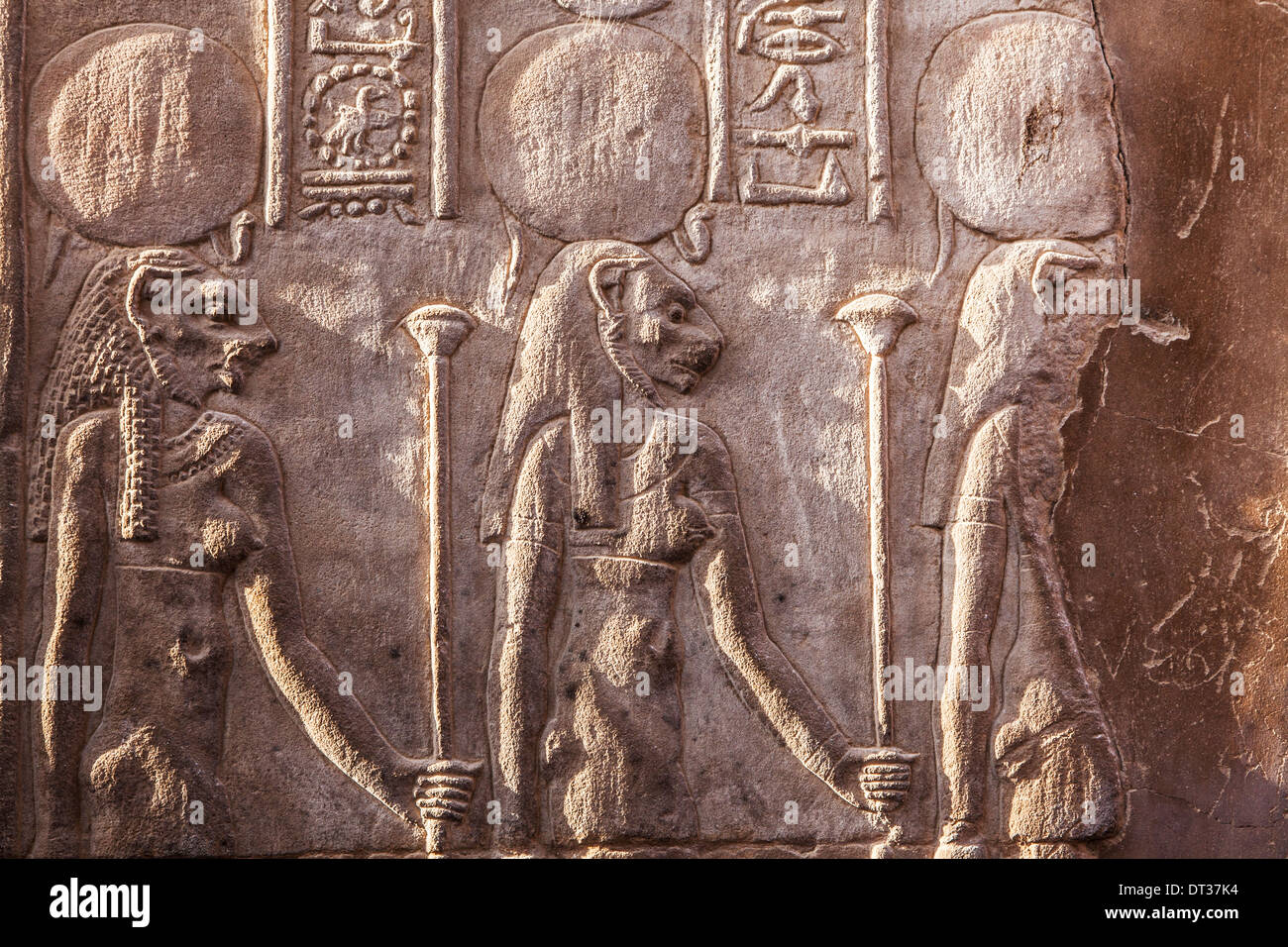Bas-relief sculpté sur un mur de l'Ancien Temple égyptien à Kom Ombo. Banque D'Images