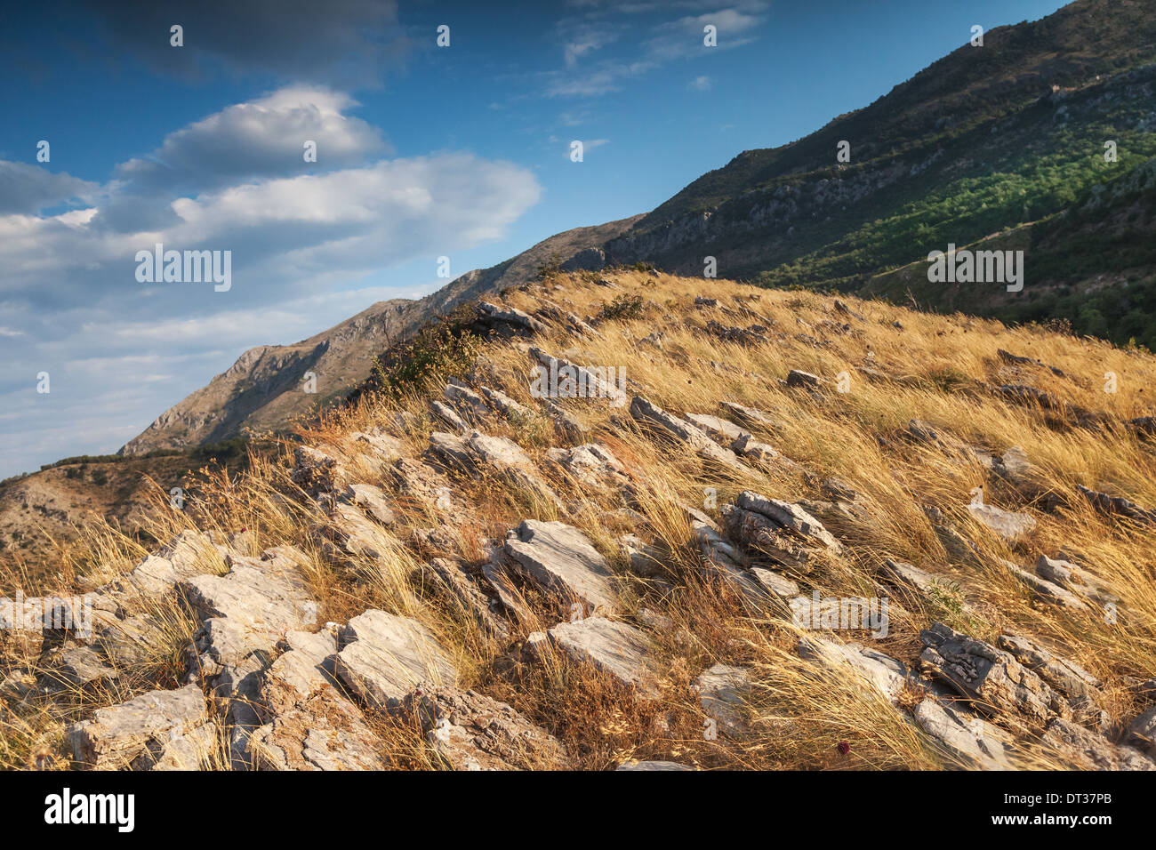 Le Monténégro. Paysage de montagne avec de l'herbe pousse sur les roches jaunes Banque D'Images