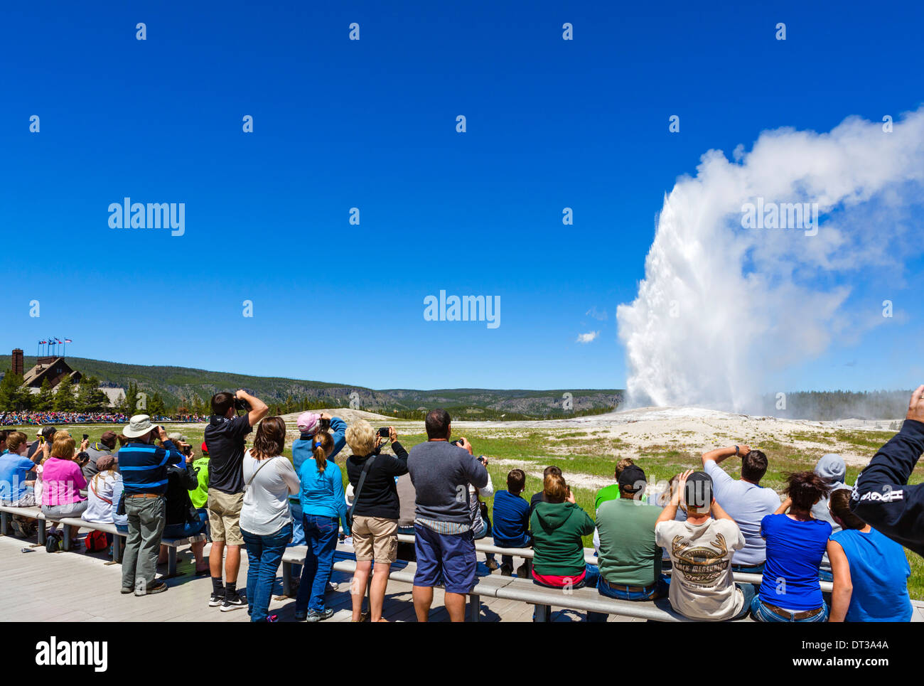 Les touristes regardant l'éruption de l'Old Faithful Geyser, Upper Geyser Basin, Parc National de Yellowstone, Wyoming, USA Banque D'Images