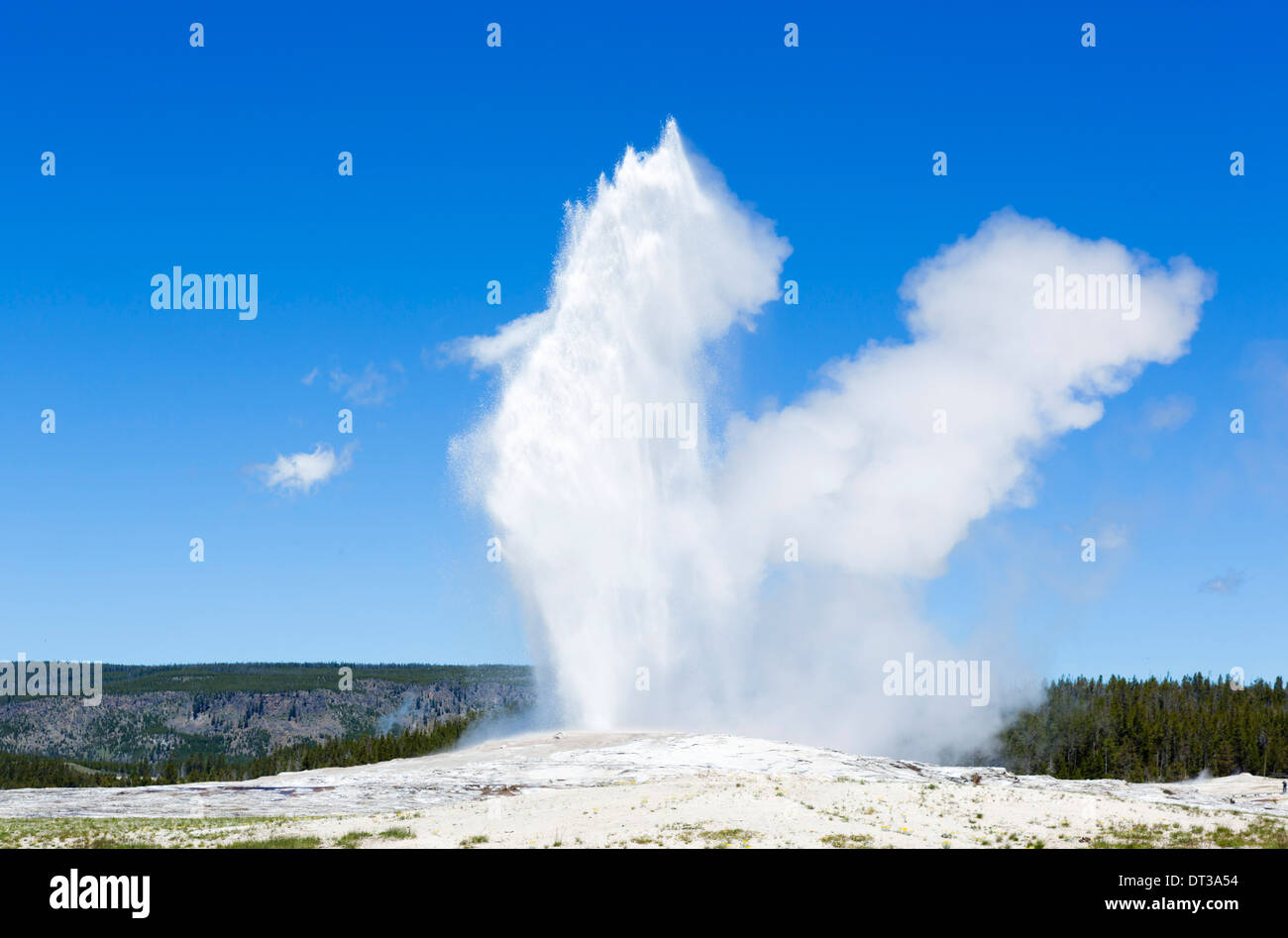 Éruption de l'Old Faithful Geyser, Upper Geyser Basin, Parc National de Yellowstone, Wyoming, USA Banque D'Images