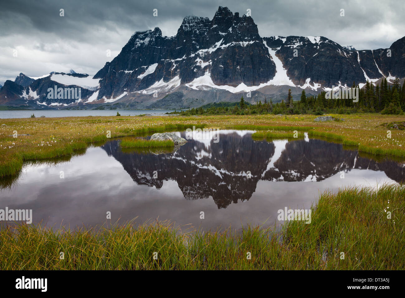 Le Parc National Jasper, Alberta, Canada Banque D'Images