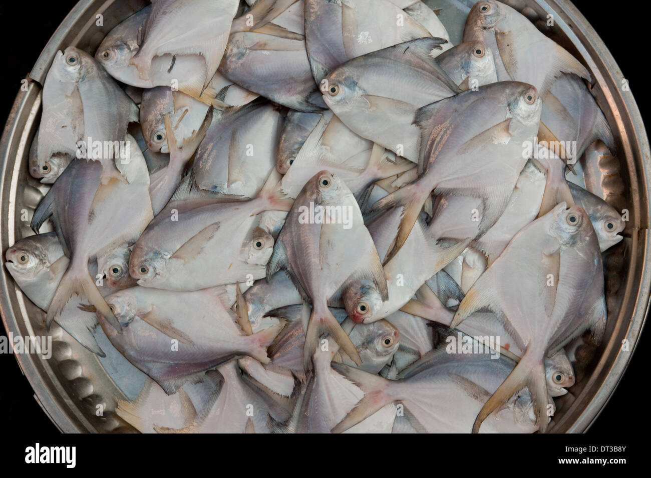 Décrochage du marché de plein air à Yangon, Myanmar. Poisson frais dans un panier. Banque D'Images