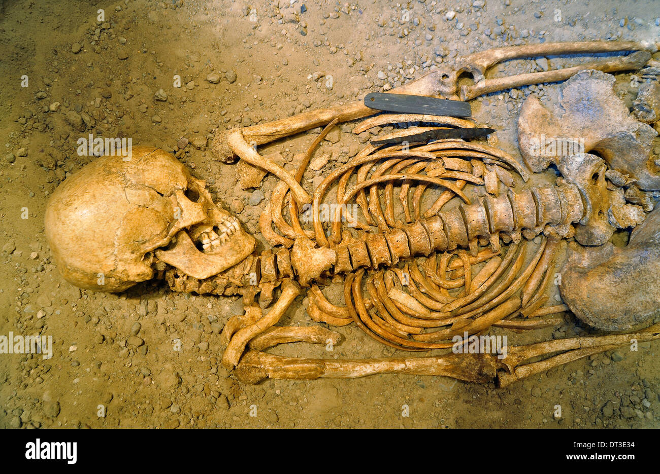 Restes humains Banque D'Images