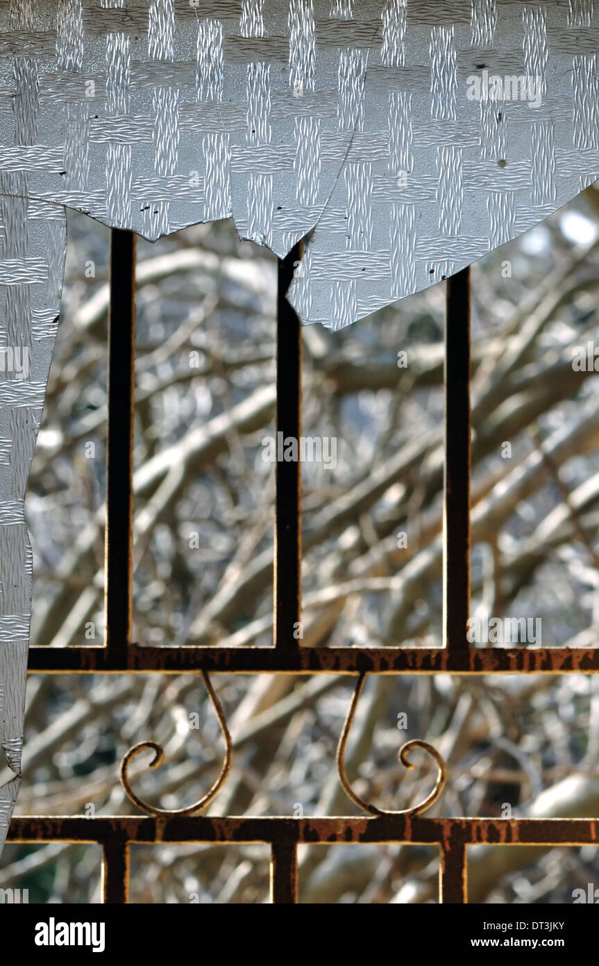 Cadre de porte en métal rouillé et branches abstract background. L'accent sur du verre brisé. Banque D'Images