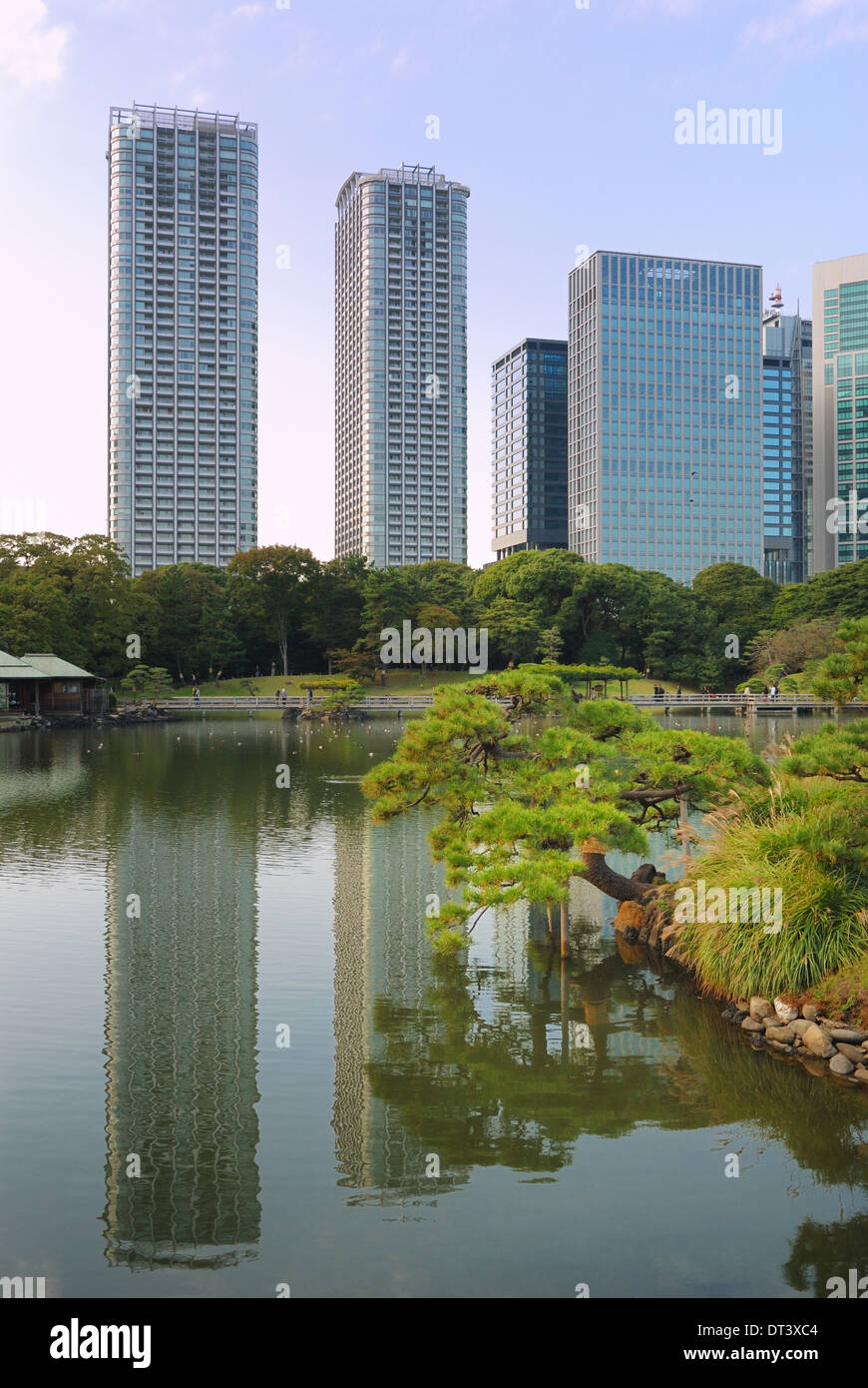 Hamarikyu célèbre jardin Zen Banque D'Images