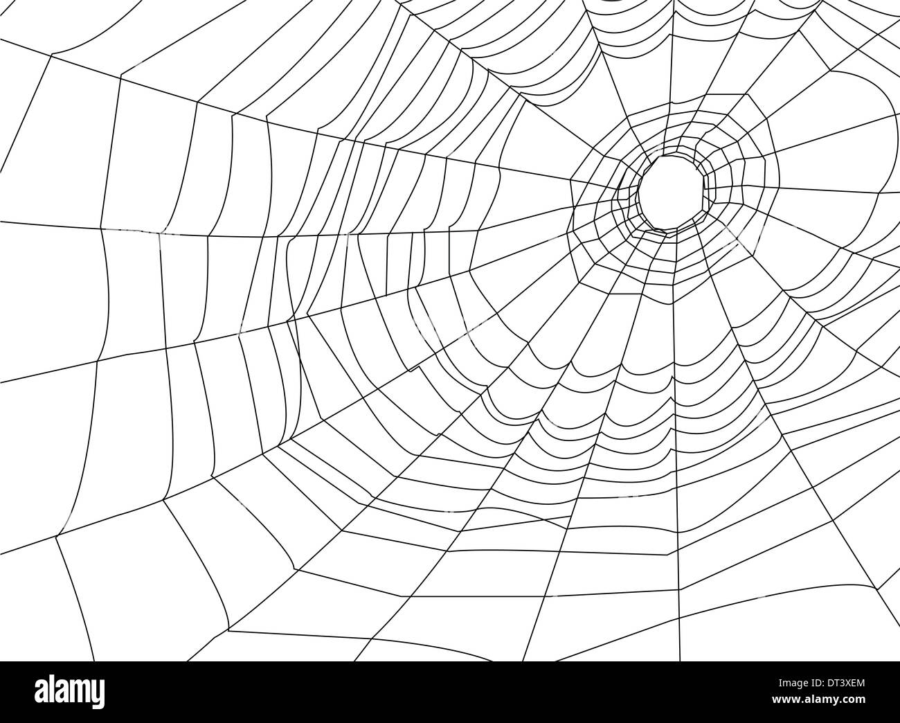 Spider web ou d'araignée Banque D'Images