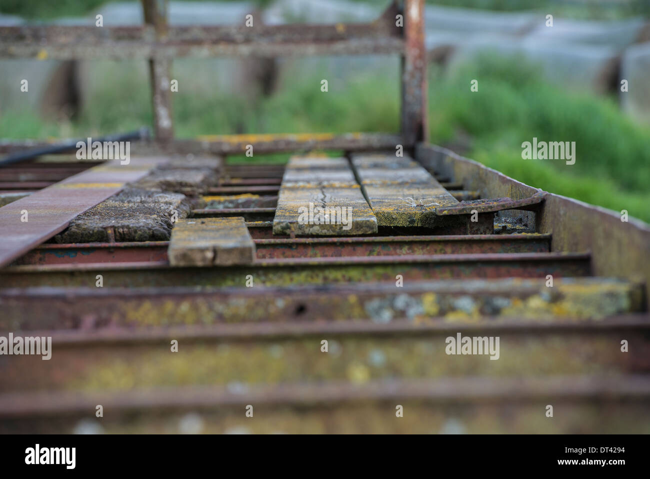 Le bois pourri sur remorque agricole Banque D'Images