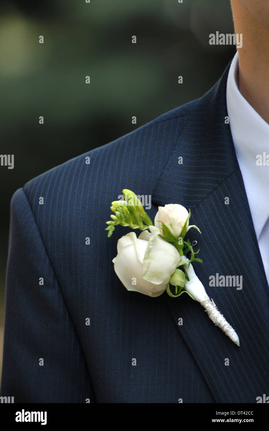 Boutonnière de mariage avec rose sur mans suite Banque D'Images