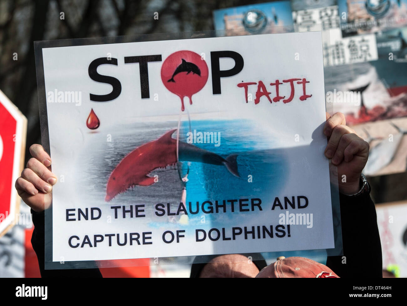 Berlin, Allemagne. 8 février 2014. Une affiche indique 'Fin de l'abattage et la capture de dauphins !' lors d'une manifestation contre le massacre des dauphins à Taiji (Japon), qui a été organisée par le groupe Droits des animaux WDSF, à Berlin. Selon la police, près de 1 000 personnes ont manifesté contre le massacre des dauphins au large de la côte japonaise devant l'ambassade du Japon à Berlin. . Photo : PAUL ZINKEN/DPA - AUCUN SERVICE DE FIL/KEIN BILDFUNK Crédit photo : dpa- alliance/Alamy Live News Banque D'Images