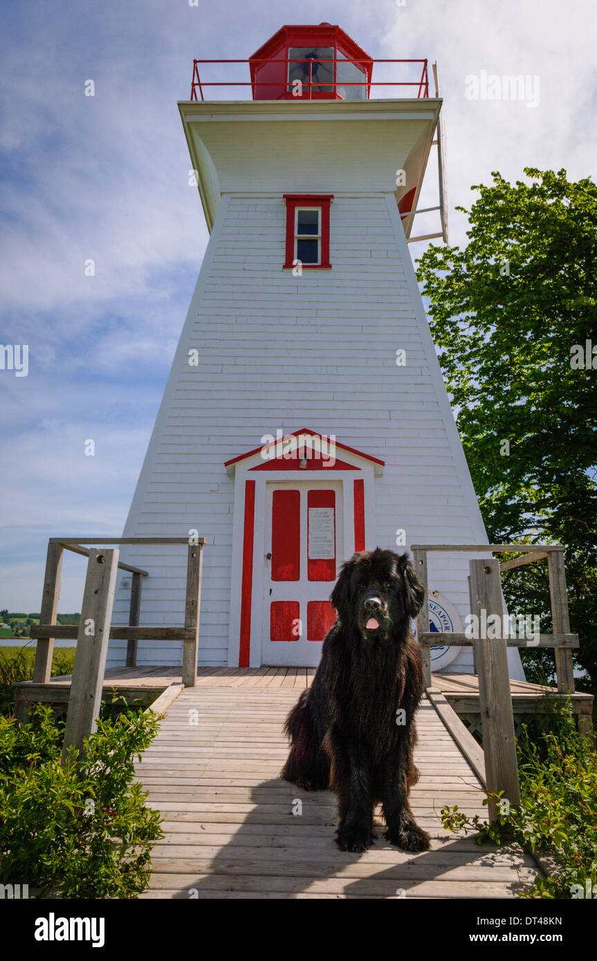 Victoria Seaport Lighthouse Museum avec Terre-Neuve chien "Charley" à l'entrée ; l'Île du Prince Édouard, Canada. Banque D'Images
