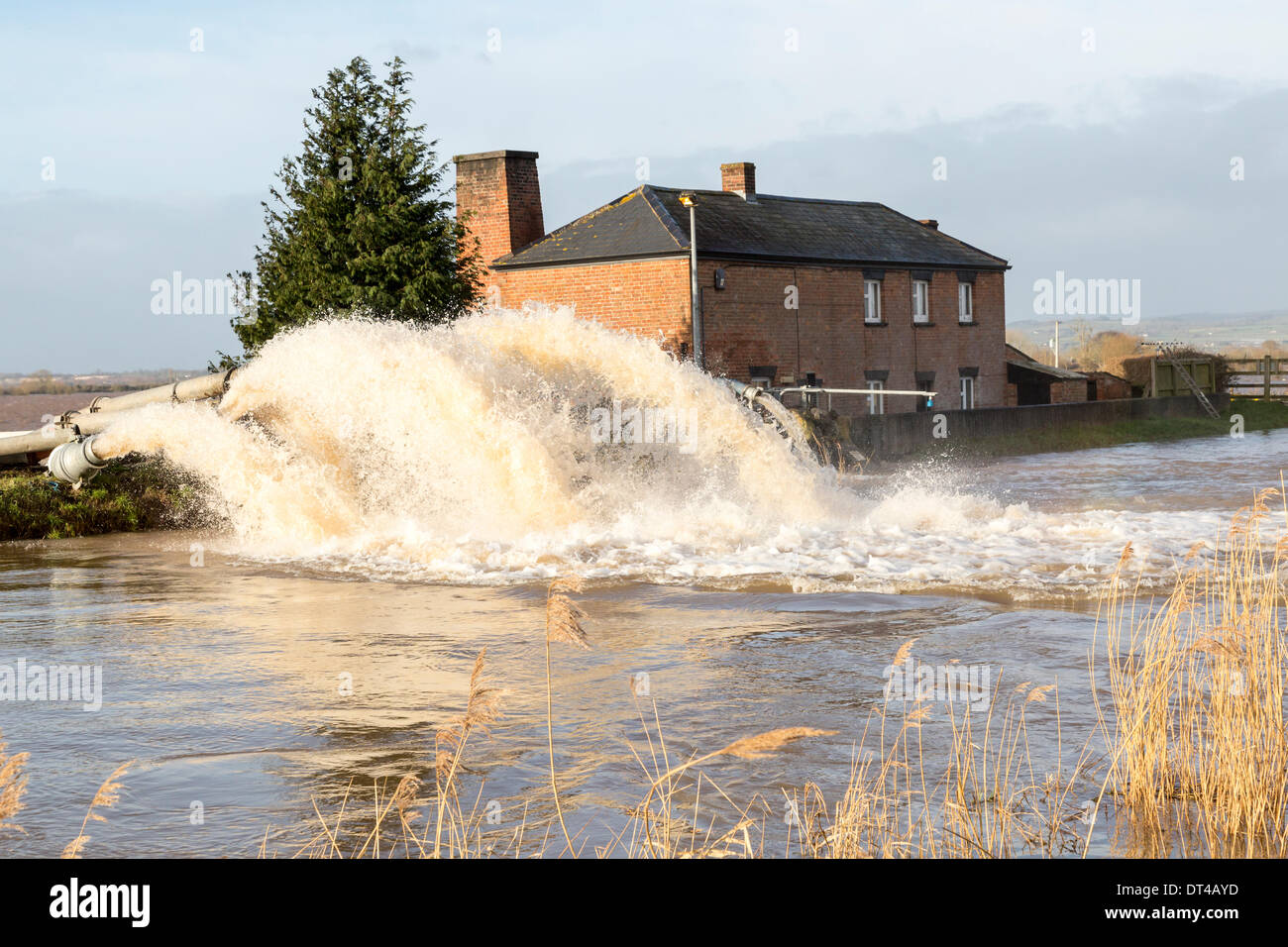 Les défenses contre les inondations dans le village de Burrowbridge dans Somerset on 8 février 2014. En raison de fortes pluies, la rivière Parrett a été incapable de faire face au volume d'eau et a inondé les terres agricoles à proximité des maisons laissant sous l'eau. L'Agence de l'Environnement ont rédigé des pompes supplémentaires pour aider la station de pompage d Saltmoor faire face à l'énorme volume d'eau mais une grave alerte inondation demeure et certains occupants a dit d'évacuer. © Nick Cable/Alamy Live News Crédit : Nick Cable/Alamy Live News Banque D'Images