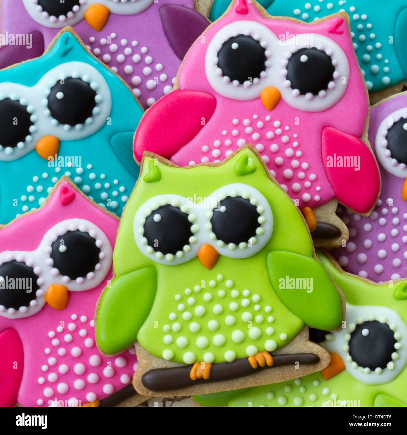 Gamme de biscuits colorés owl Banque D'Images