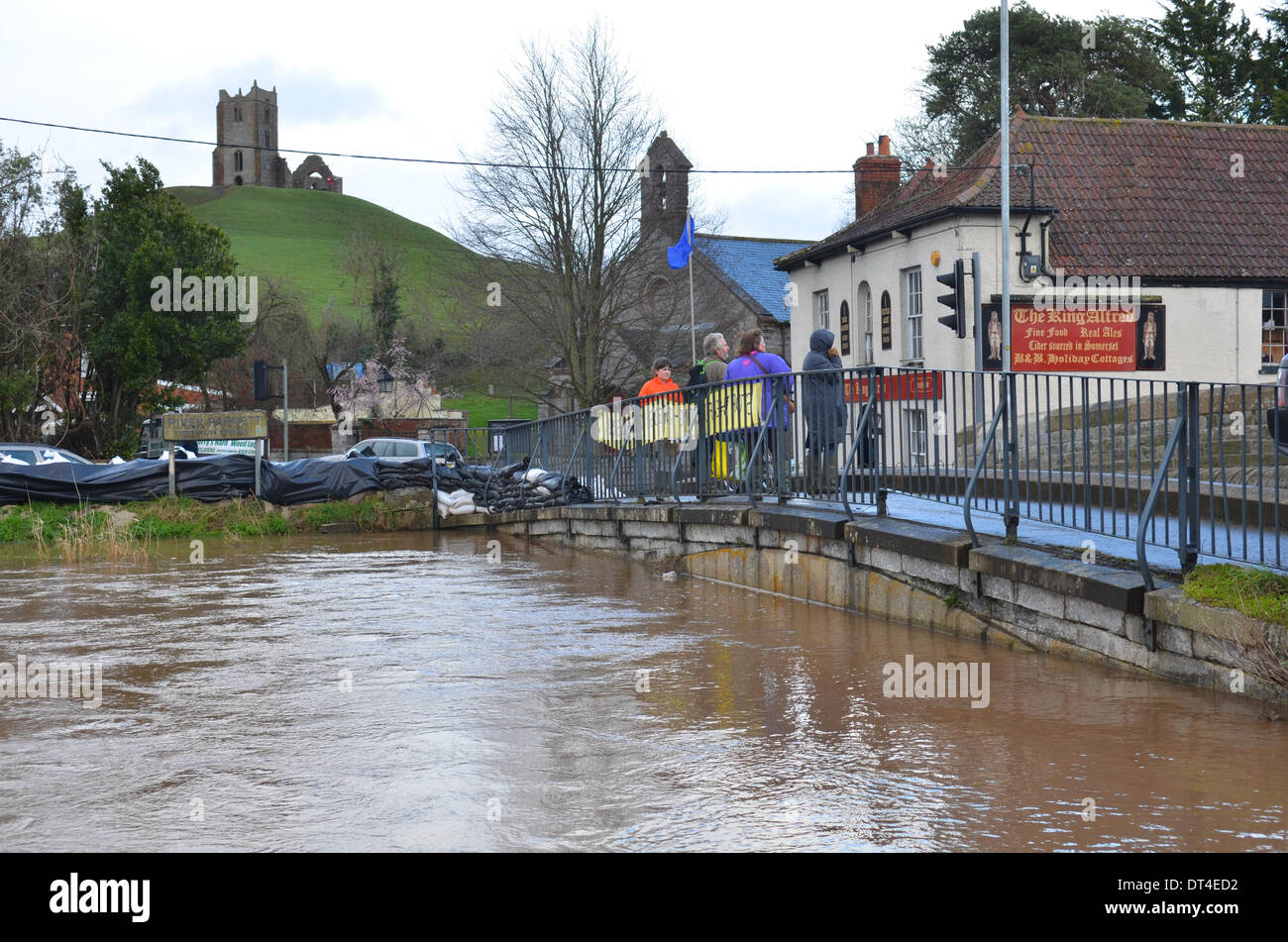 Pont de terrier, Somerset, Royaume-Uni. 8 février 2014. Inondations au Royaume-Uni s'enfouir dans le Somerset Bridge/AlamyLiveNews,Robert Timoney. Banque D'Images