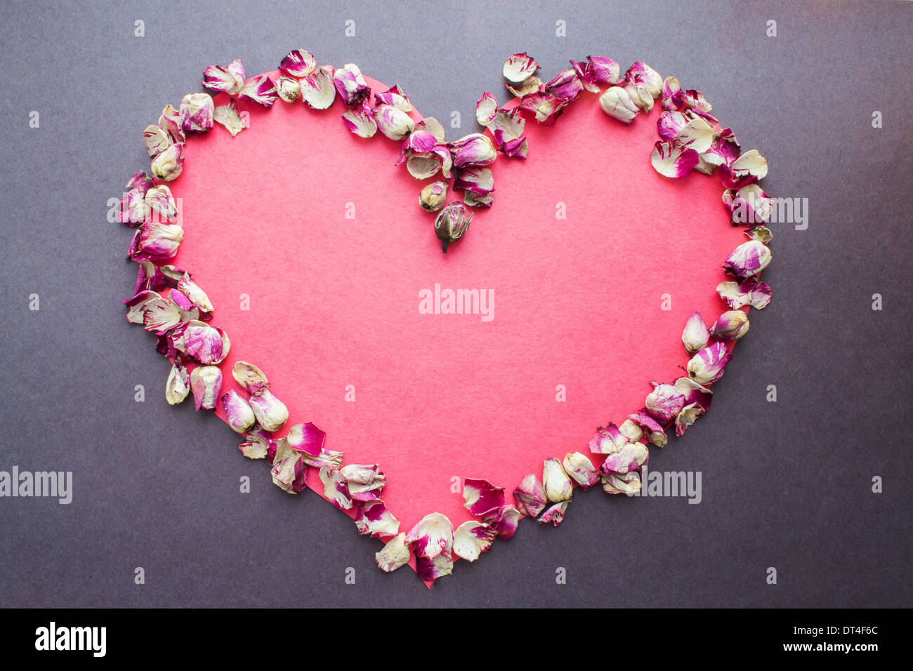 Cœur amour pétales de rose papier personne ne Banque D'Images