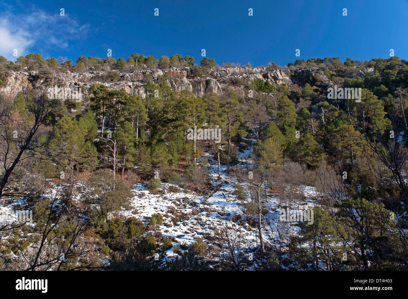 Paysage de neige, Parc Naturel des Sierras de Cazorla, Segura y Las Villas Jaen-province, région d'Andalousie, Espagne ; Europe Banque D'Images