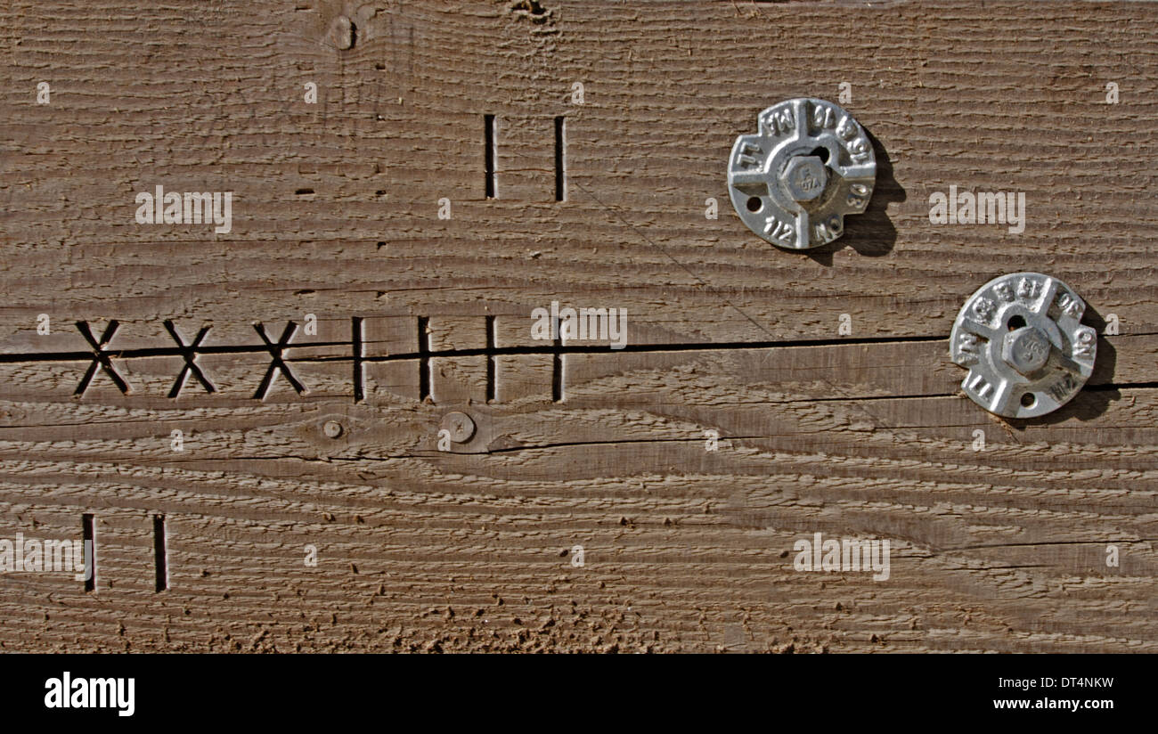 Un détail de têtes de boulon et carpenter's marques sur la boiserie du viaduc ferroviaire à chevalets de Kinsol. Banque D'Images