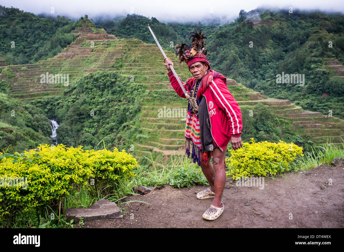 BANAUE -ancien homme d'Ifugao en costume national à côté des terrasses de riz aux Philippines, Luzon, l'Asie Banque D'Images