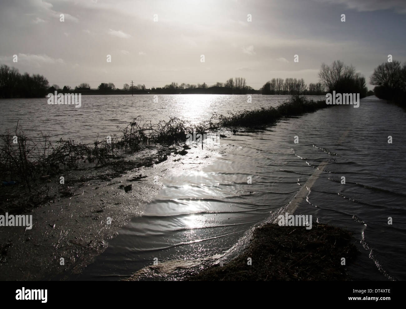 Burrowbridge Somerset England UK inondations sur les Somerset Levels Février 2014 inondé une361 Banque D'Images