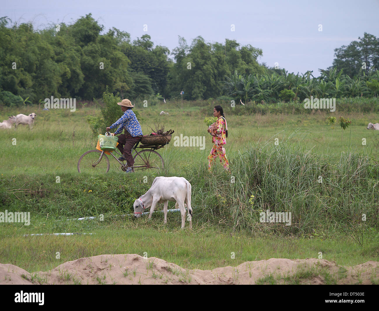 Deux femmes, l'une sur la place de village à vélo au Cambodge Banque D'Images