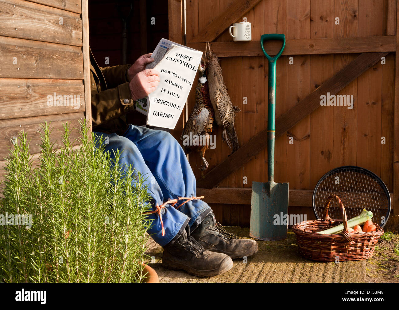 Les jambes d'un homme apparaissant à partir d'un abri de jardin comme il est assis lecture Banque D'Images