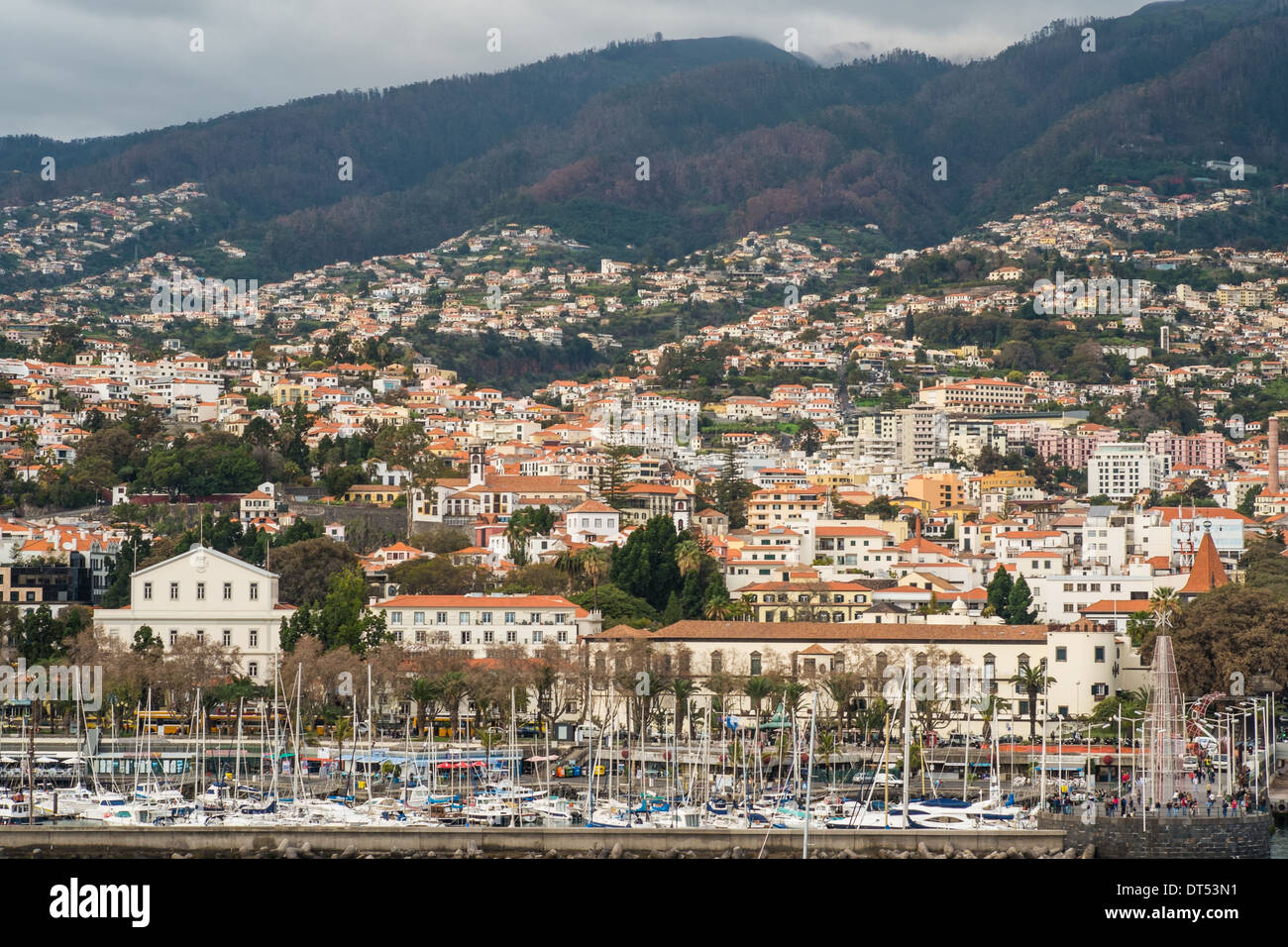Port de Madère, au Portugal. Banque D'Images