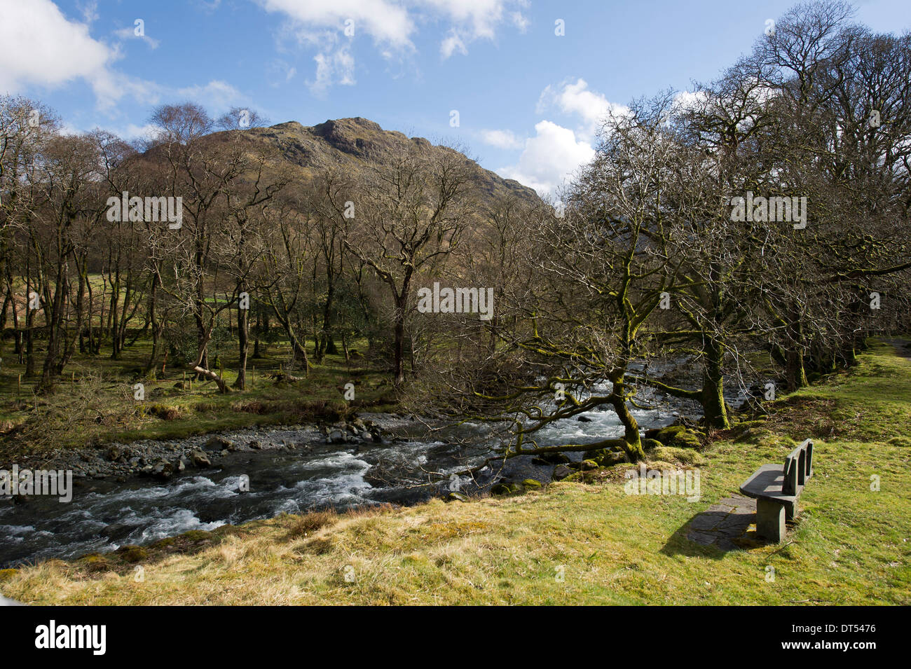 Derwent in Borrowdale Banque D'Images