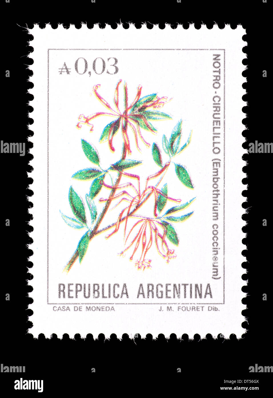 Timbre-poste de l'Argentine sur les fleurs sur l'arbre de feu du Chili (Embothrium coccineum découverte) Banque D'Images