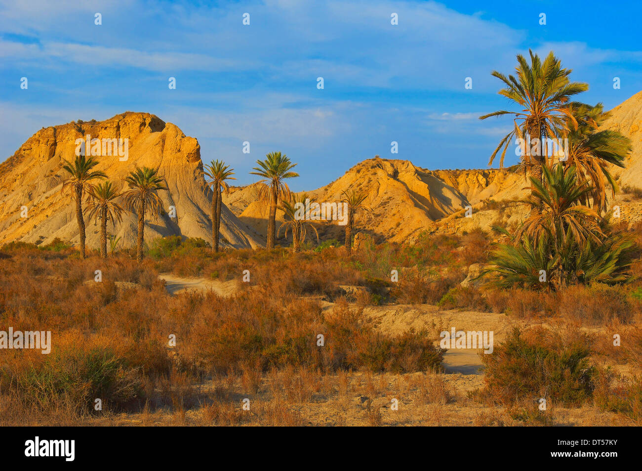 Parc Naturel du désert de Tabernas, Tabernas, la Province d'Almeria, Andalousie, espagne. Banque D'Images