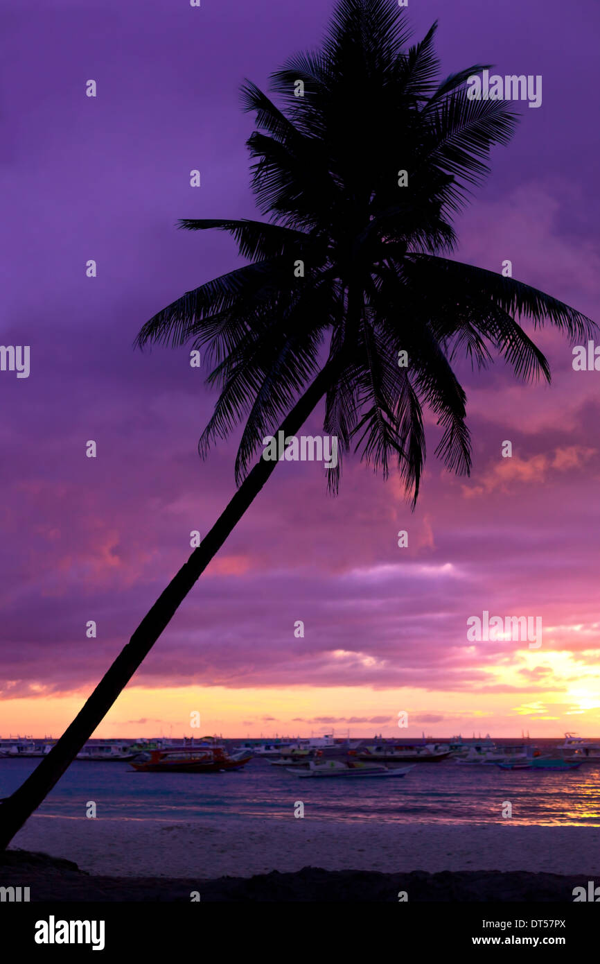 De soleil colorés sur la plage tropicale avec palmiers de noix de coco Banque D'Images