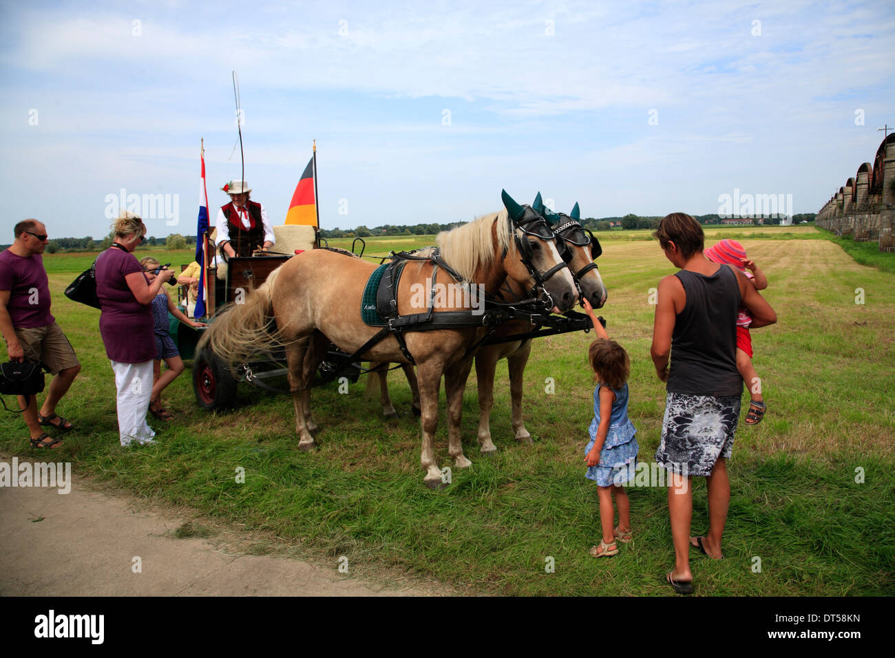 Transport de chevaux à l'ancien pont ferroviaire à Doemitz-Kaltenhof, Elbe, Basse-Saxe, Allemagne, Europe Banque D'Images