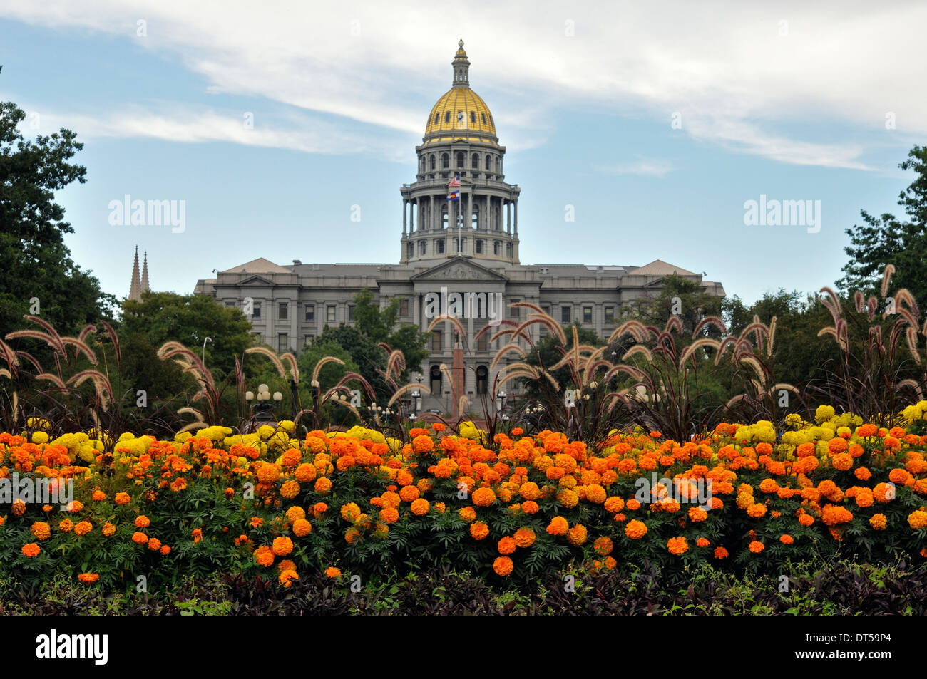 Du Colorado State Capitol Building dans le centre-ville de Denver avec orange et jaune les mamans à l'avant-plan. Banque D'Images