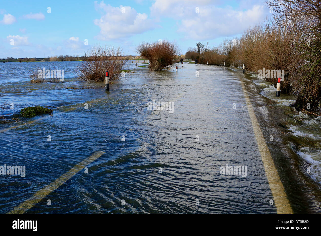 Les inondations, les niveaux de Somerset, UK 2014. Route inondée et les terres agricoles de l'Ouest sur les Carex Moor Banque D'Images