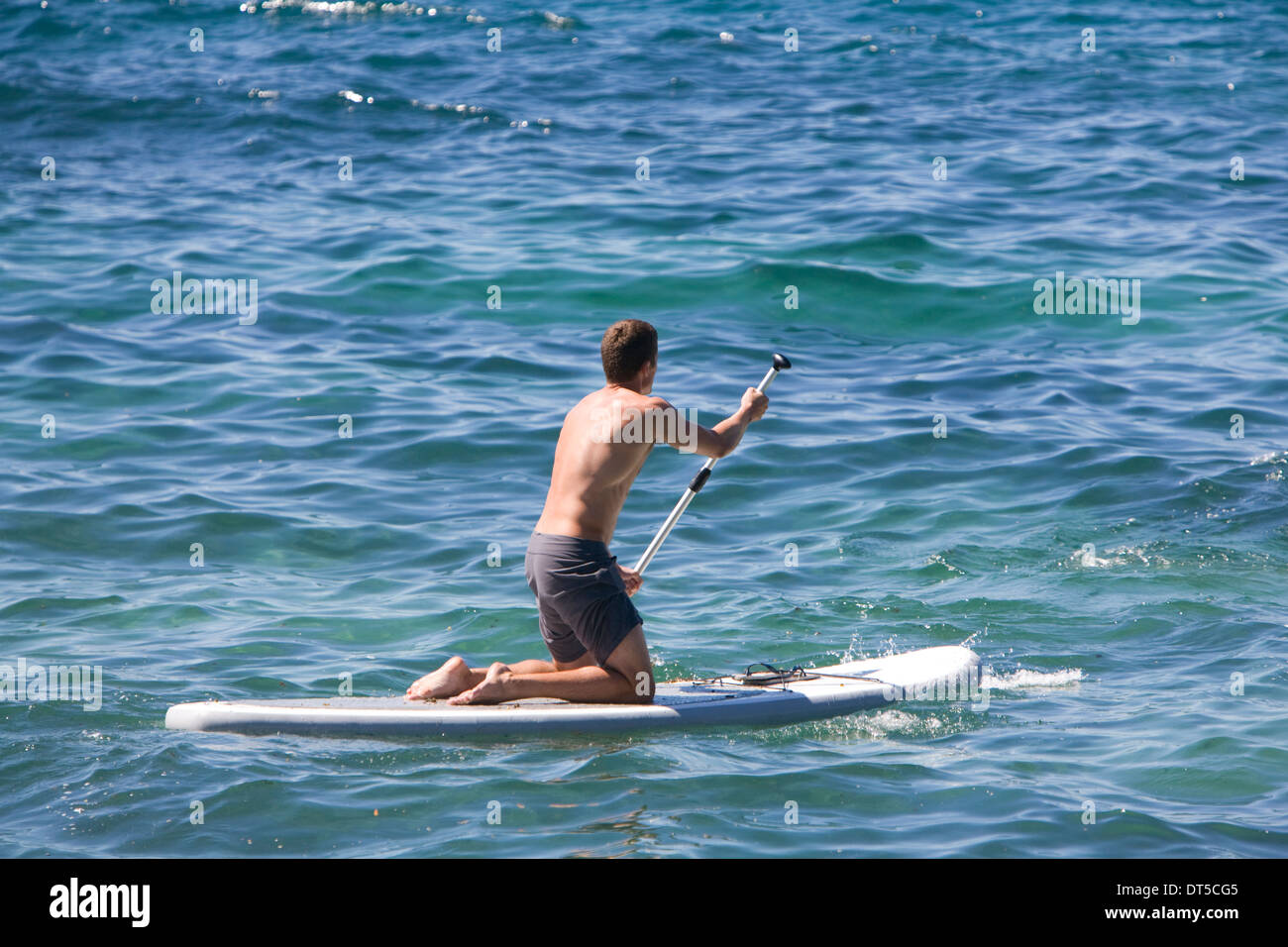 Paddleboarder off plage de Manly, Sydney Banque D'Images