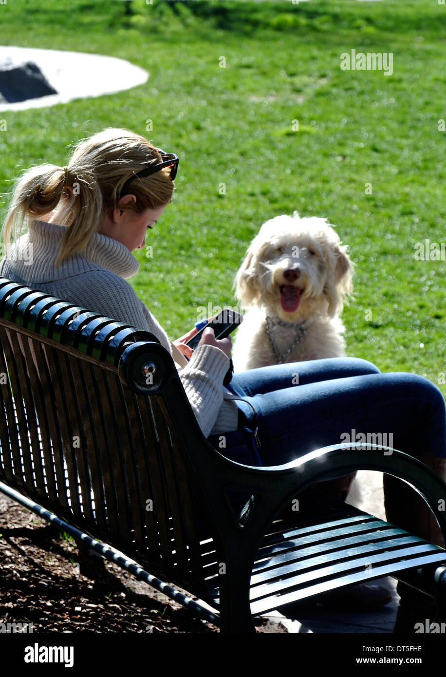 Woman texting while sitting on park bench à Los Gatos en Californie Banque D'Images
