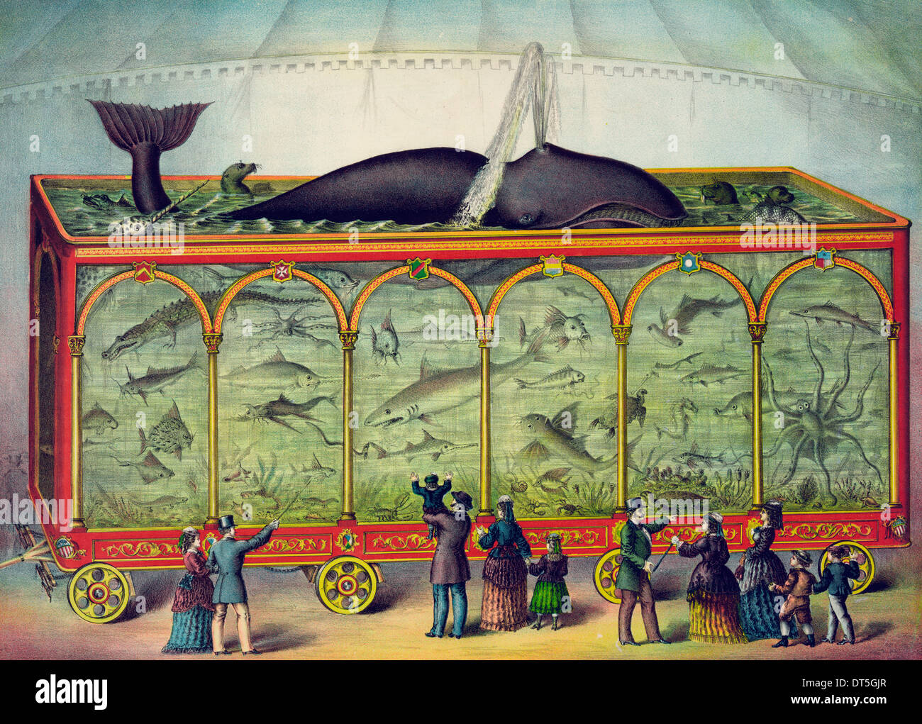 L'Aquarium - Aquarium de voyage avec les spectateurs à la recherche sur, vers 1880 Banque D'Images