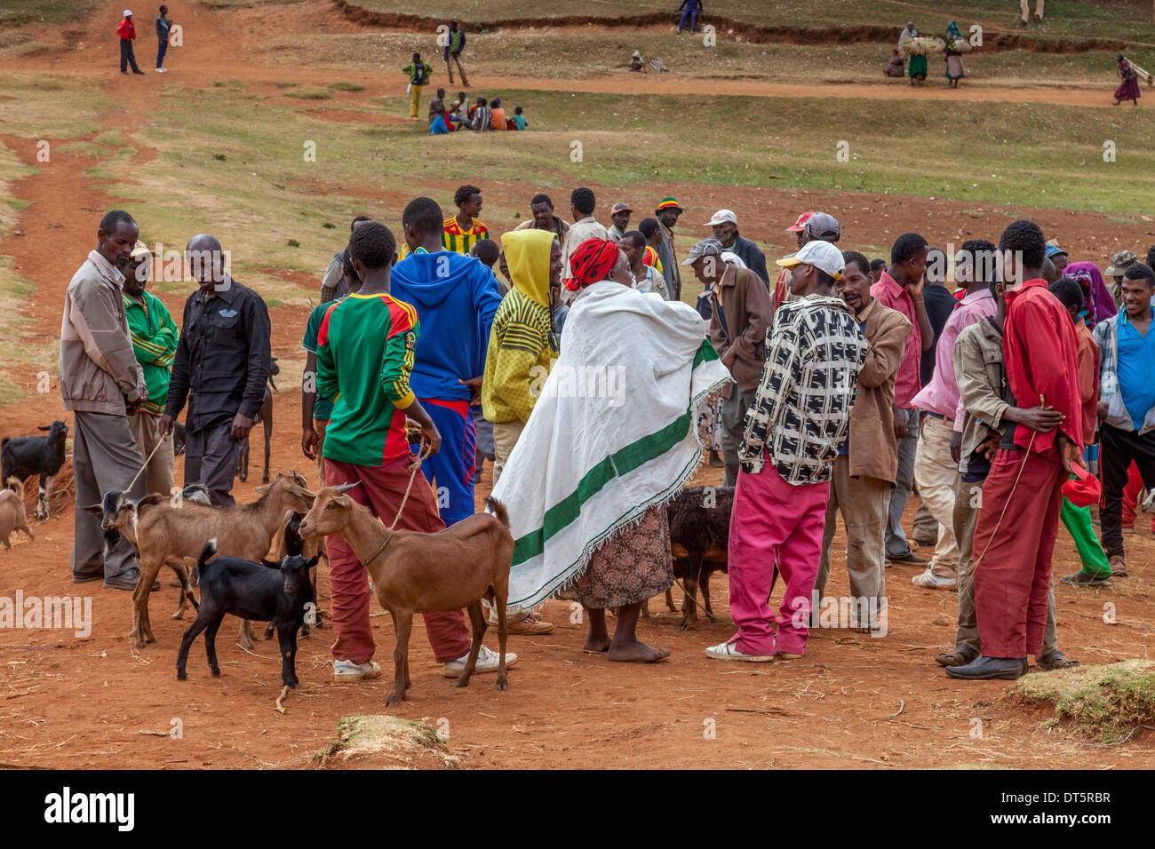 Le marché de l'élevage jeudi dans le village de Hayto Dorze, près d'Arba Minch, Ethiopie Banque D'Images